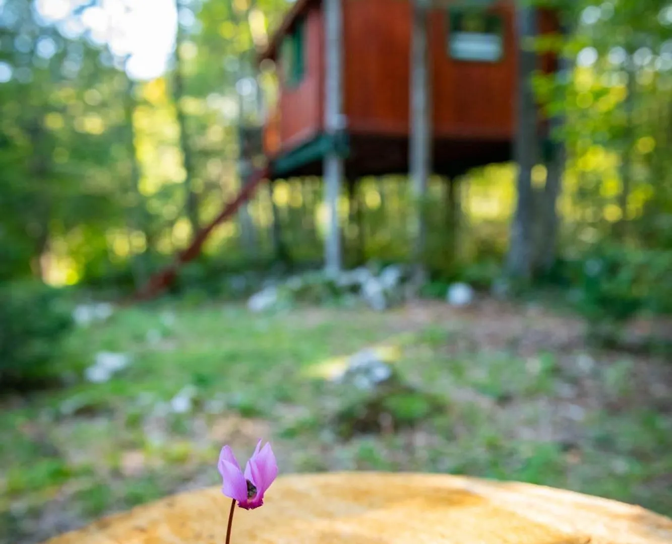 Villa Sajnska Hiza, Authentic House In Brod Moravice 0*,